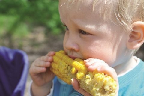 Ein Kleinkind isst einen Maiskolben.